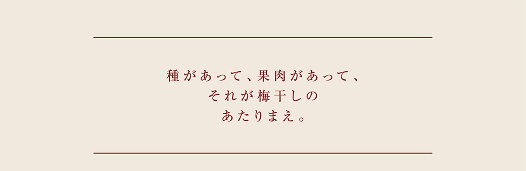 種があって果肉があって、それが梅干しのあたりまえ。