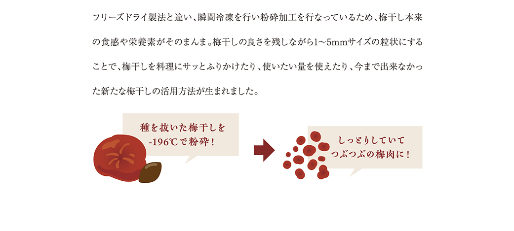 フリーズドライ製法と違い、瞬間冷凍を行い粉砕加工を行っているため、梅干し本来の食感や栄養素がそのまんま。梅干しの良さを残しながら1～5mmサイズの粒状にすることで、梅干しを料理にサッとふりかけたり、使いたい量を使えたり、今まで出来なかった新たな梅干しの活用方法が生まれました。