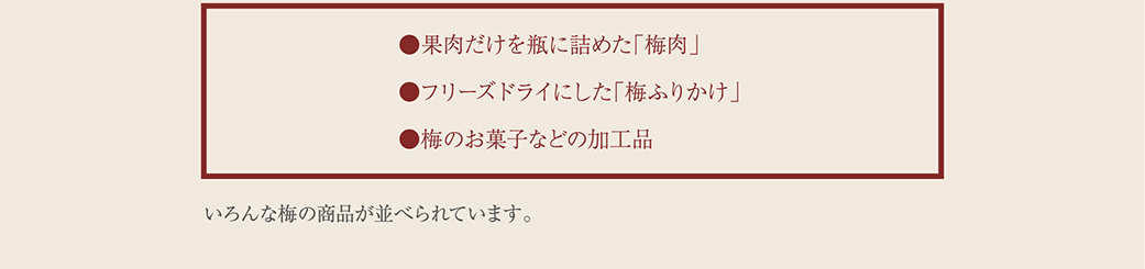 ●果肉だけを瓶に詰めた「梅肉」●フリーズドライにした「梅ふりかけ」●梅のお菓子などの加工品　いろんな梅の商品が並べられています。
