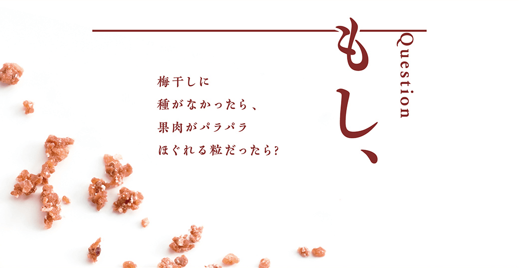 Question もし、梅干しに種がなかったら、果肉がパラパラほぐれる粒だったら？