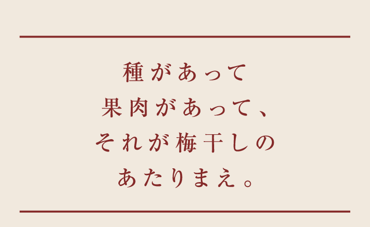 種があって果肉があって、それが梅干しのあたりまえ。