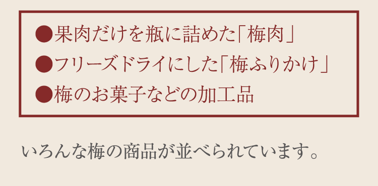 ●果肉だけを瓶に詰めた「梅肉」●フリーズドライにした「梅ふりかけ」●梅のお菓子などの加工品　いろんな梅の商品が並べられています。